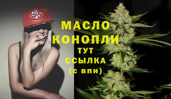 тгк Абаза