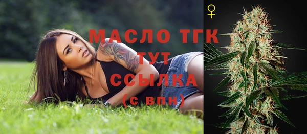 тгк Абаза
