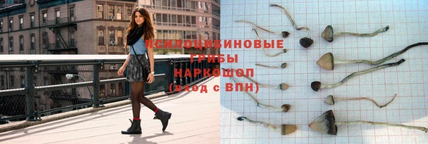 тгк Абаза