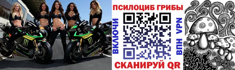 где купить   Отрадный  Галлюциногенные грибы ЛСД 